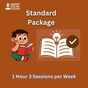 Smart Online Tutors - Standard Package